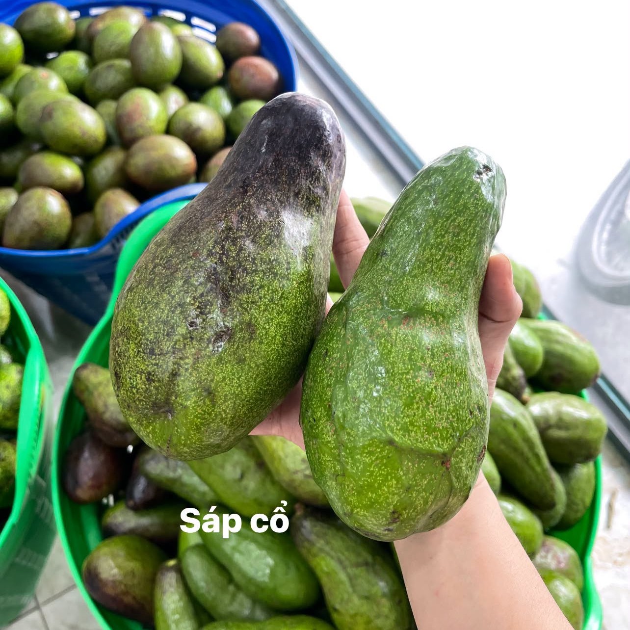 Bơ Sáp