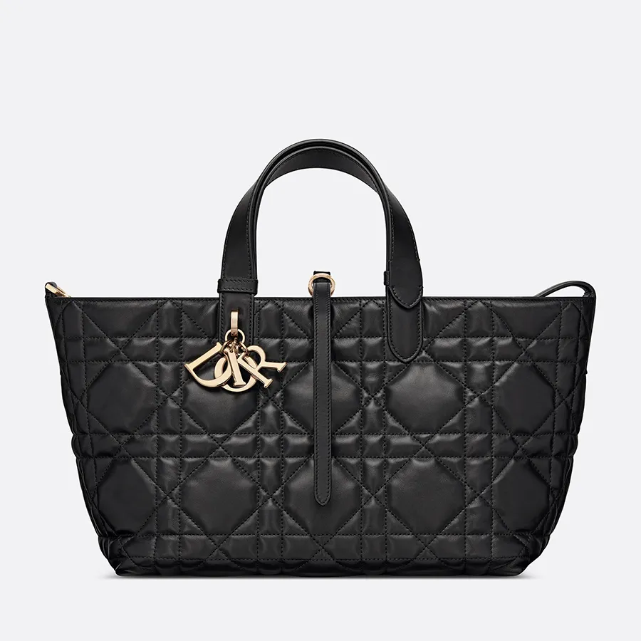 Dior Medium Toujours Bag_thumbnail_3