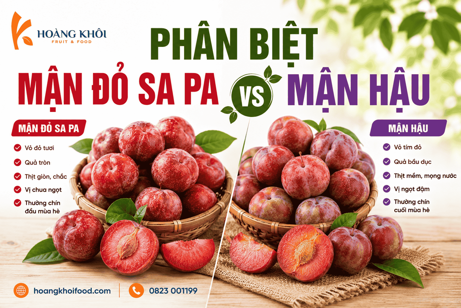 Phân biệt mận đỏ Sa Pa và mận hậu