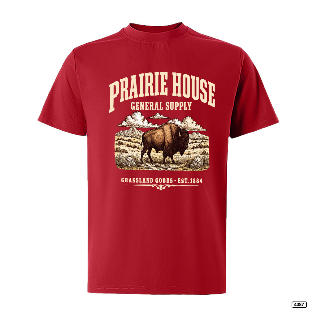 Áo thun nam Prairie House Buffalo form rộng vintage TeePrint 4387_thumbnail_14