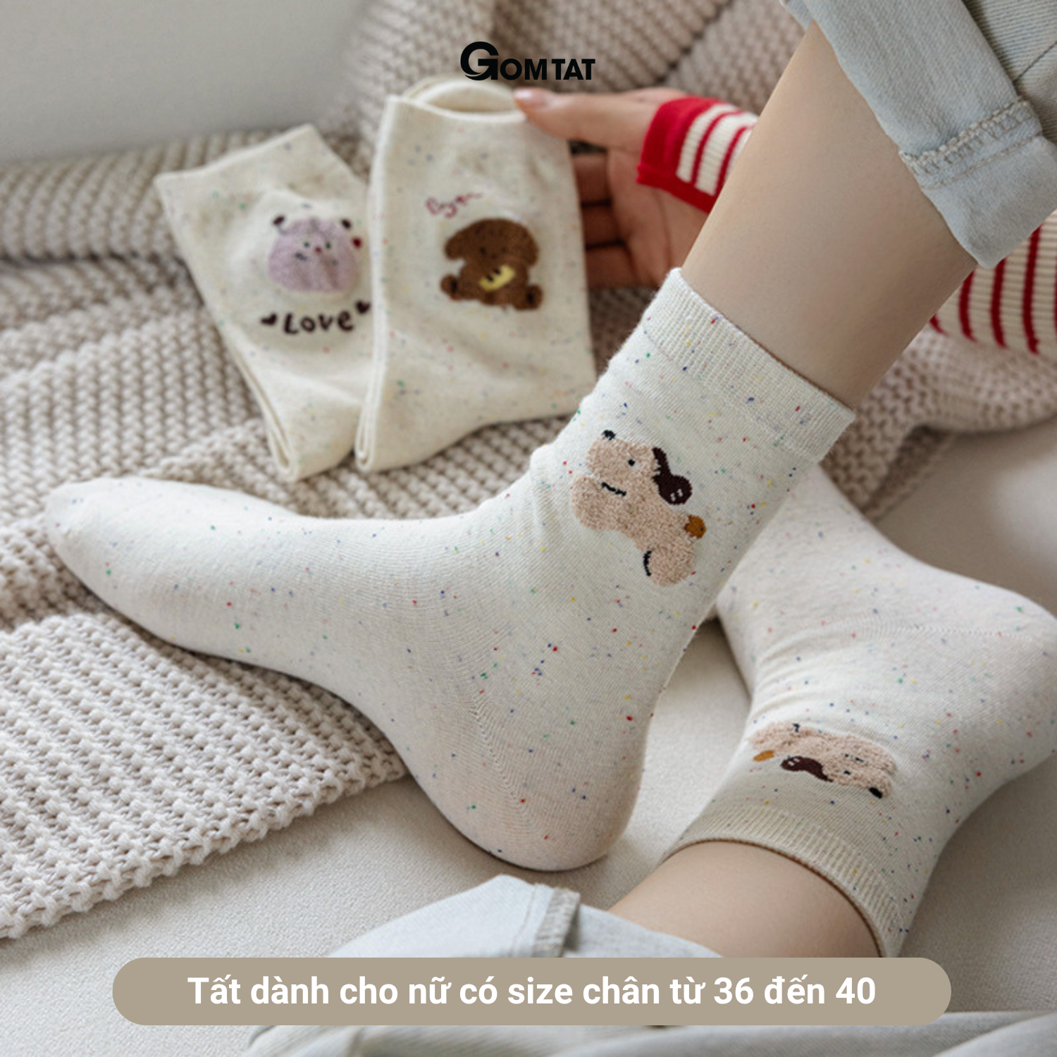 Set 5 đôi tất cao cổ nữ họa tiết cây thú GOMTAT, vớ chân phong cách Hàn Quốc cute, chất cotton mềm mịn – JIN-2518-CB5_thumbnail_2