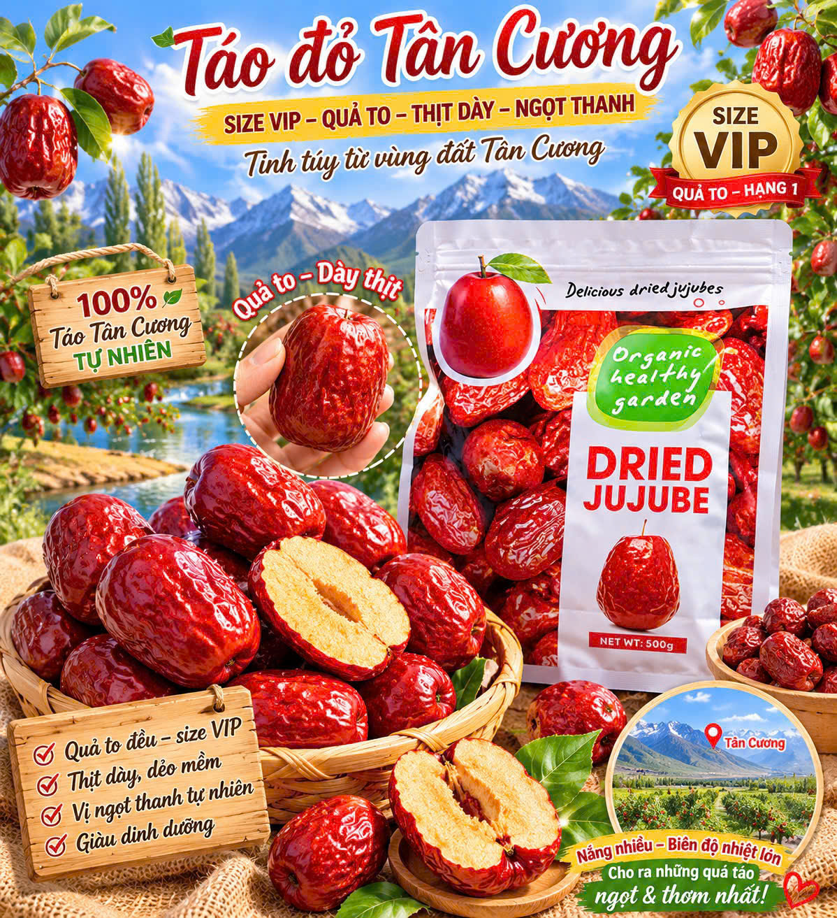 TÁO ĐỎ TÂN CƯƠNG SẤY KHÔ 500G