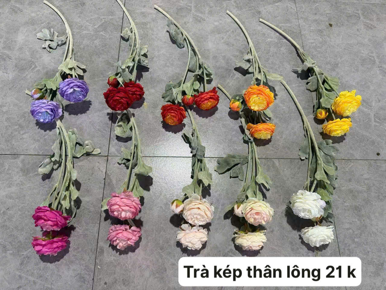 Trà kép thân lông 21 k_thumbnail_2