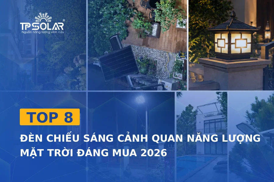 Top 8 đèn chiếu sáng cảnh quan năng lượng mặt trời đáng mua 2026