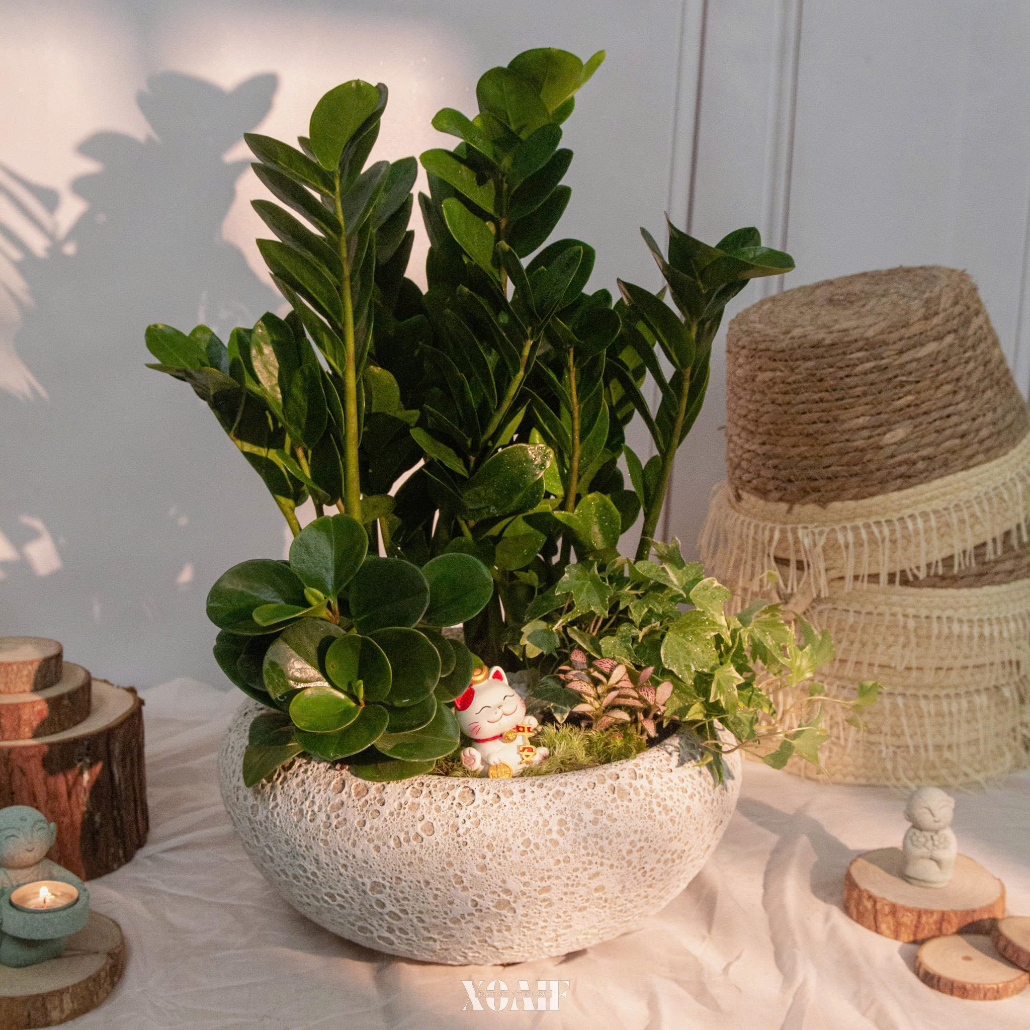 SET MIX KIM TIỀN CHẬU TRÒN MEN XÔI 