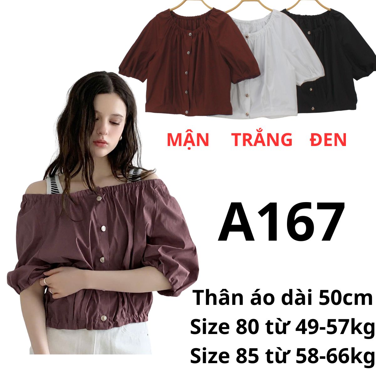 A167 - Áo kiểu