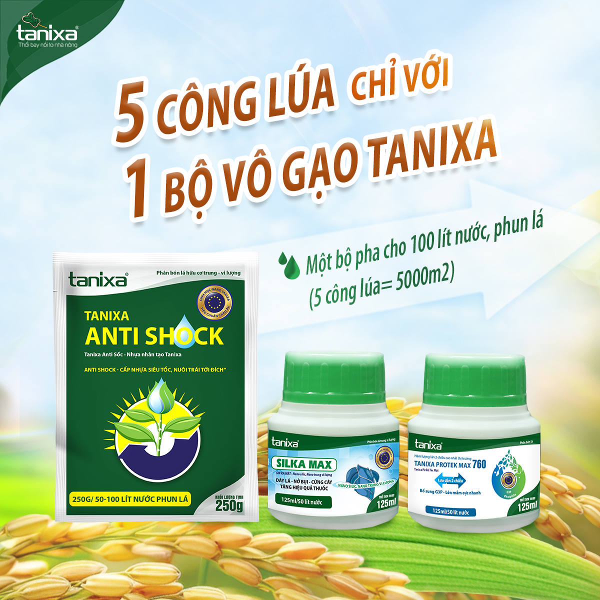 Bộ vô gạo Tanixa_thumbnail_1
