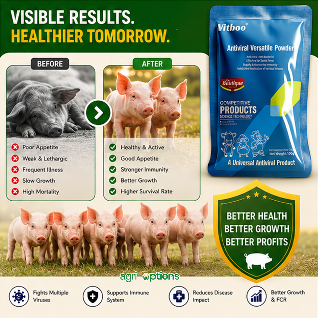 Anti-Viral Versatile Powder Fever Virus Treatment - Swine Pig_thumbnail_6