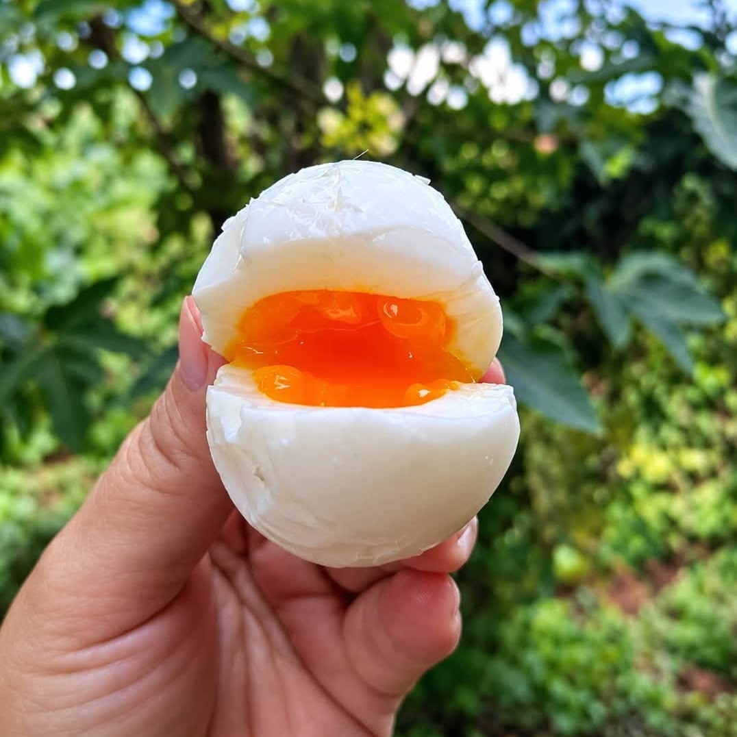 Trứng Gà Macca Bơ_thumbnail_3