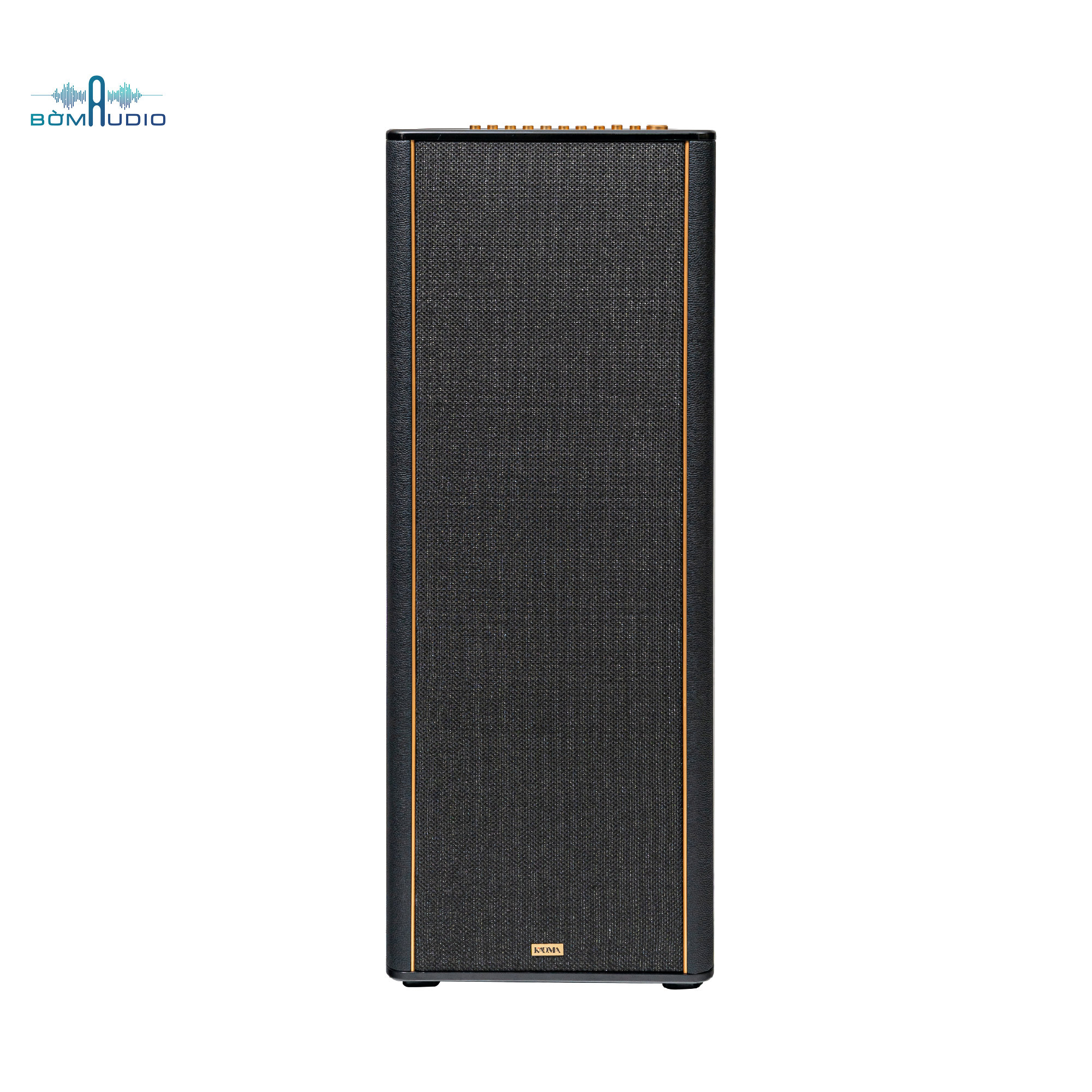 Loa Hifi Karaoke Di Động KADMA KF990_thumbnail_3
