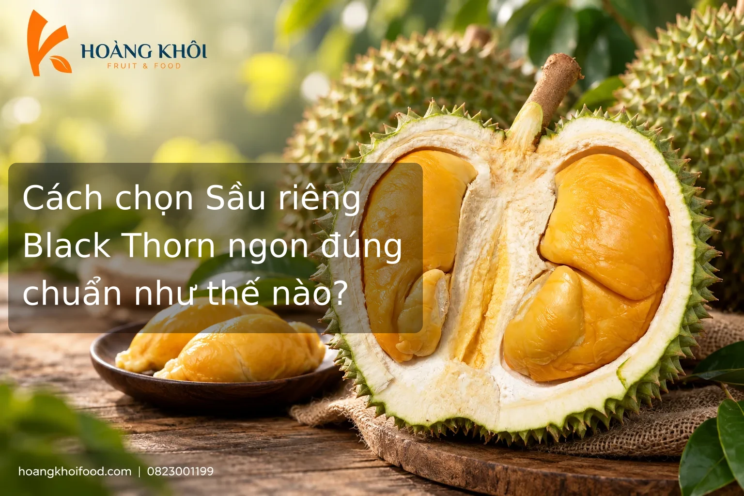 Cách chọn Sầu riêng Black Thorn ngon đúng chuẩn như thế nào?