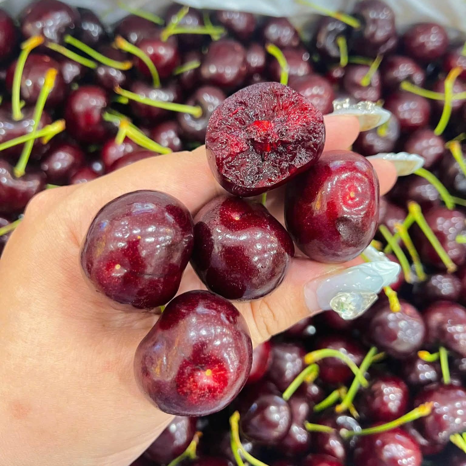 Cherry_thumbnail_1