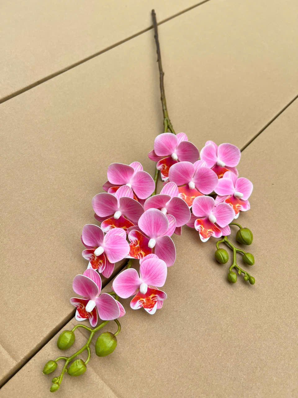 TIỂU HỒ ĐIỆP 12B 24K_thumbnail_3