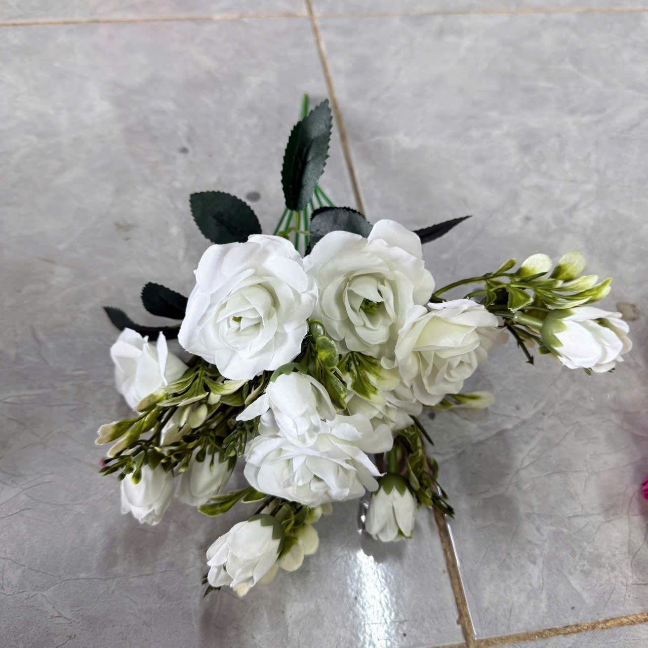 Cụm tỉ muội 17k