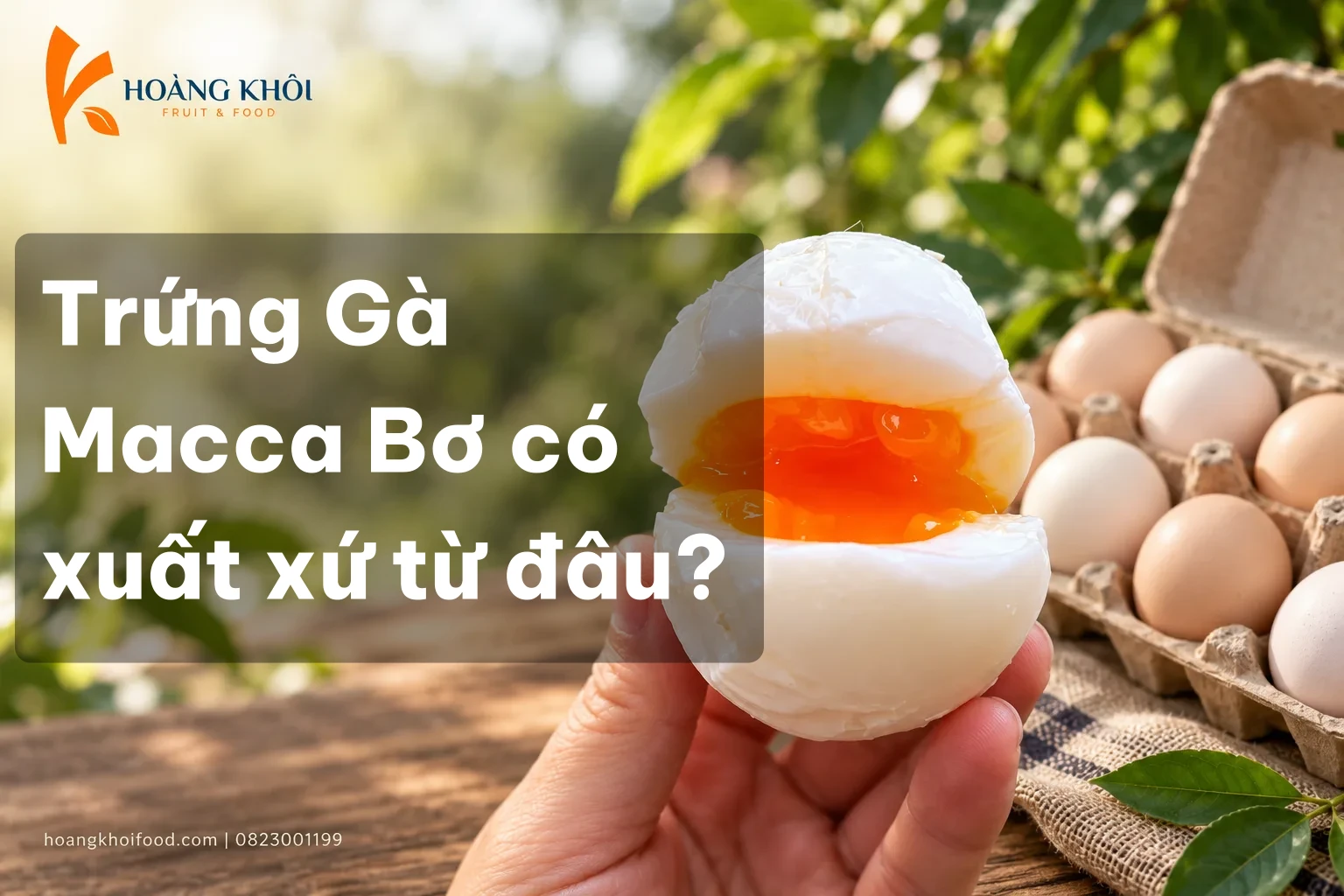 Trứng Gà Macca Bơ có xuất xứ từ đâu?