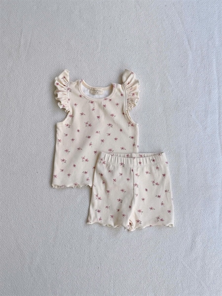Celine Wing Rib Set 25