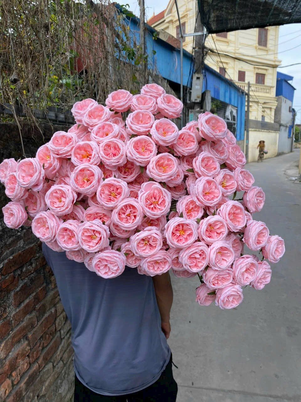 Cành hồng david 3b giá 11k