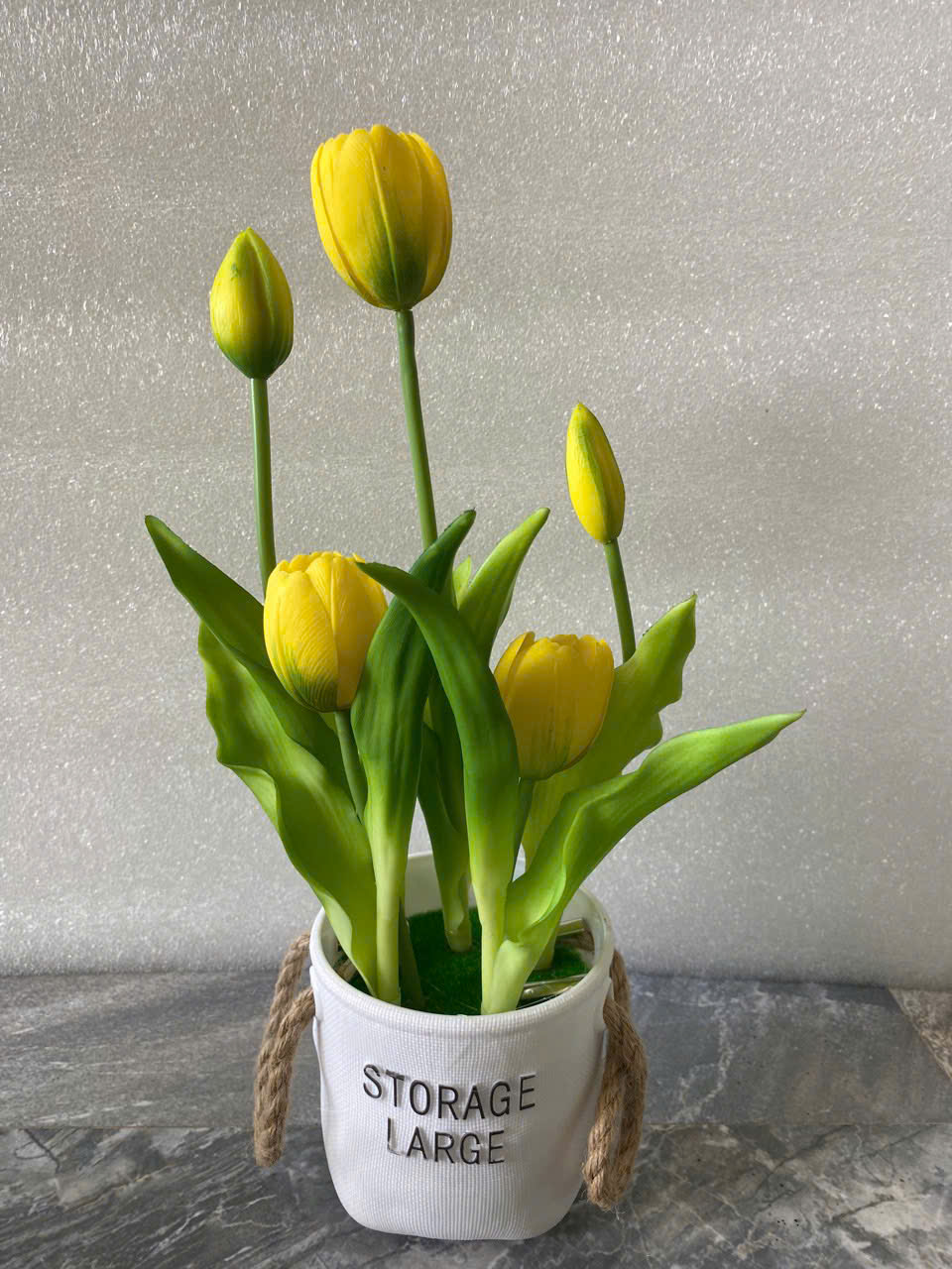 CHẬU TULIP 90K