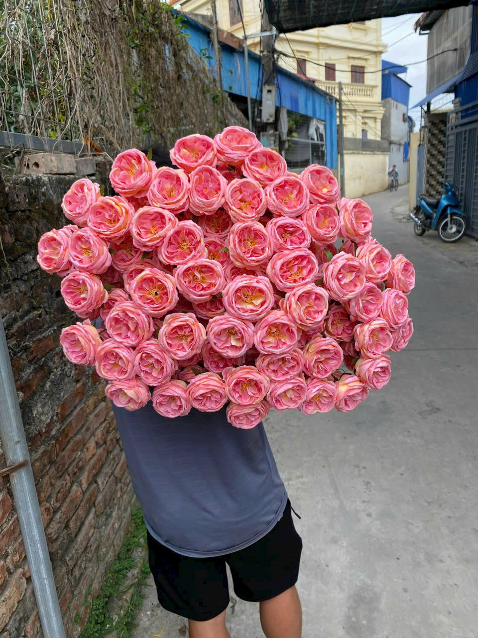 Cành hồng david 3b giá 11k_thumbnail_1