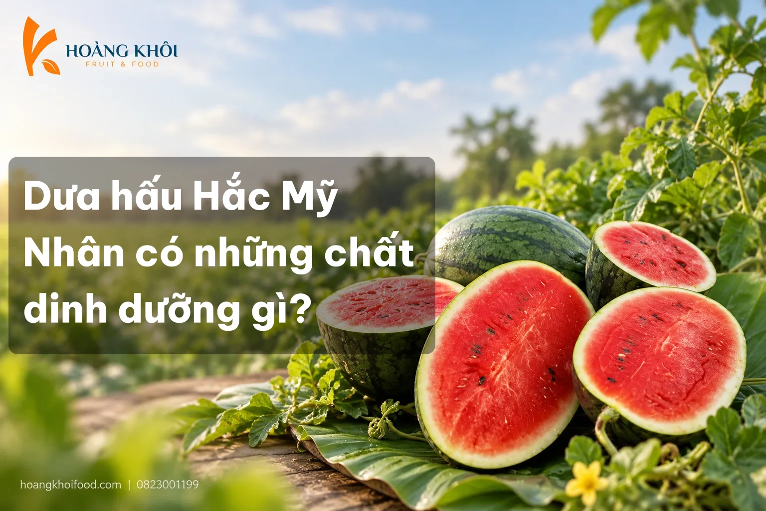 Dưa hấu Hắc Mỹ Nhân có những chất dinh dưỡng gì?