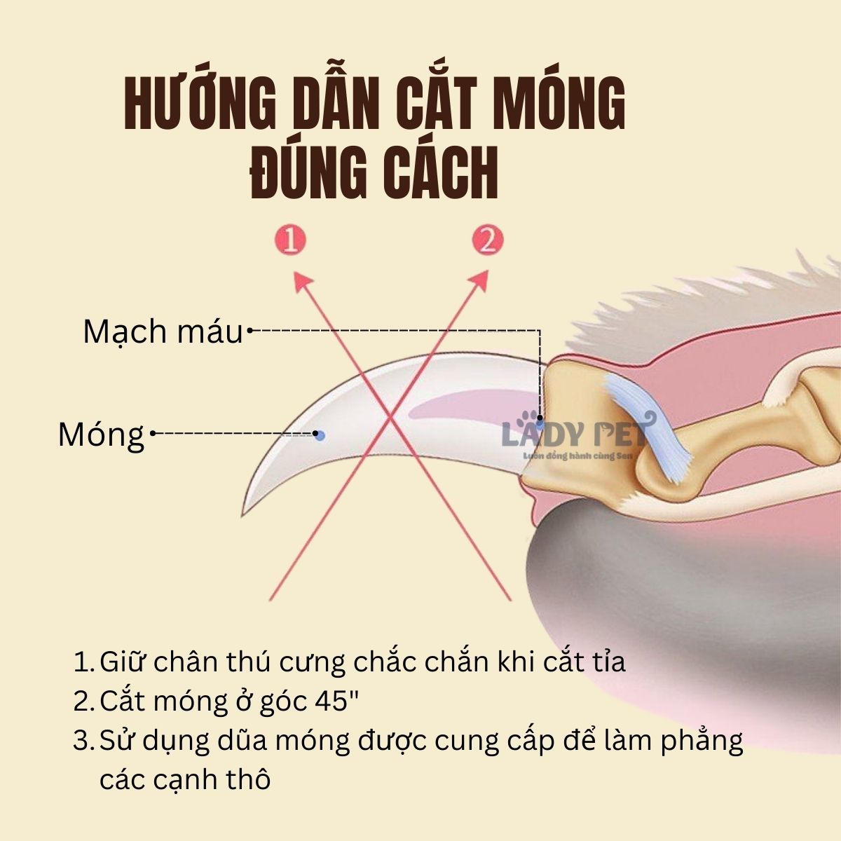 Kìm cắt và dũa móng thú cưng_thumbnail_3
