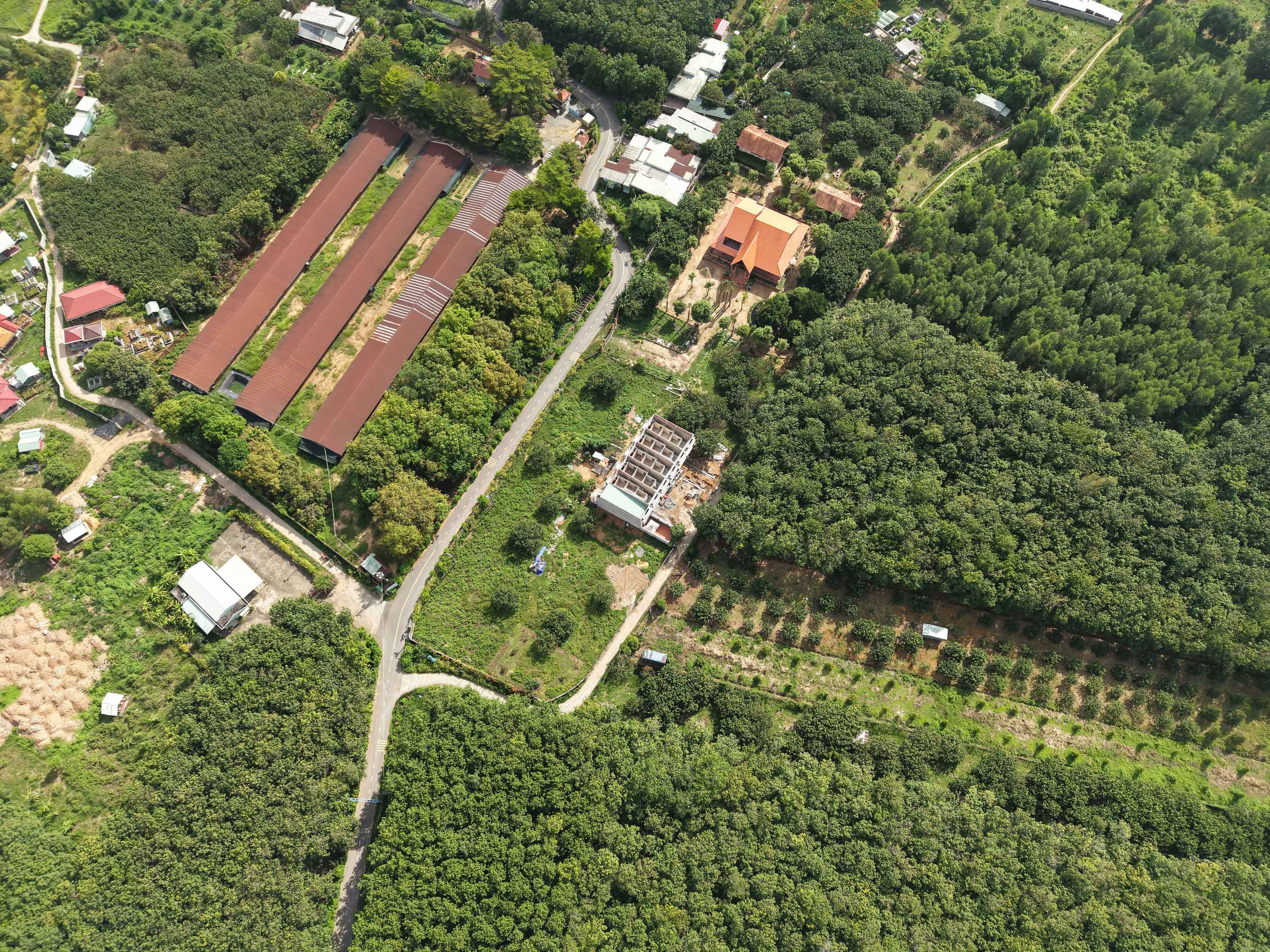 DJI_20260629085008_0010_D