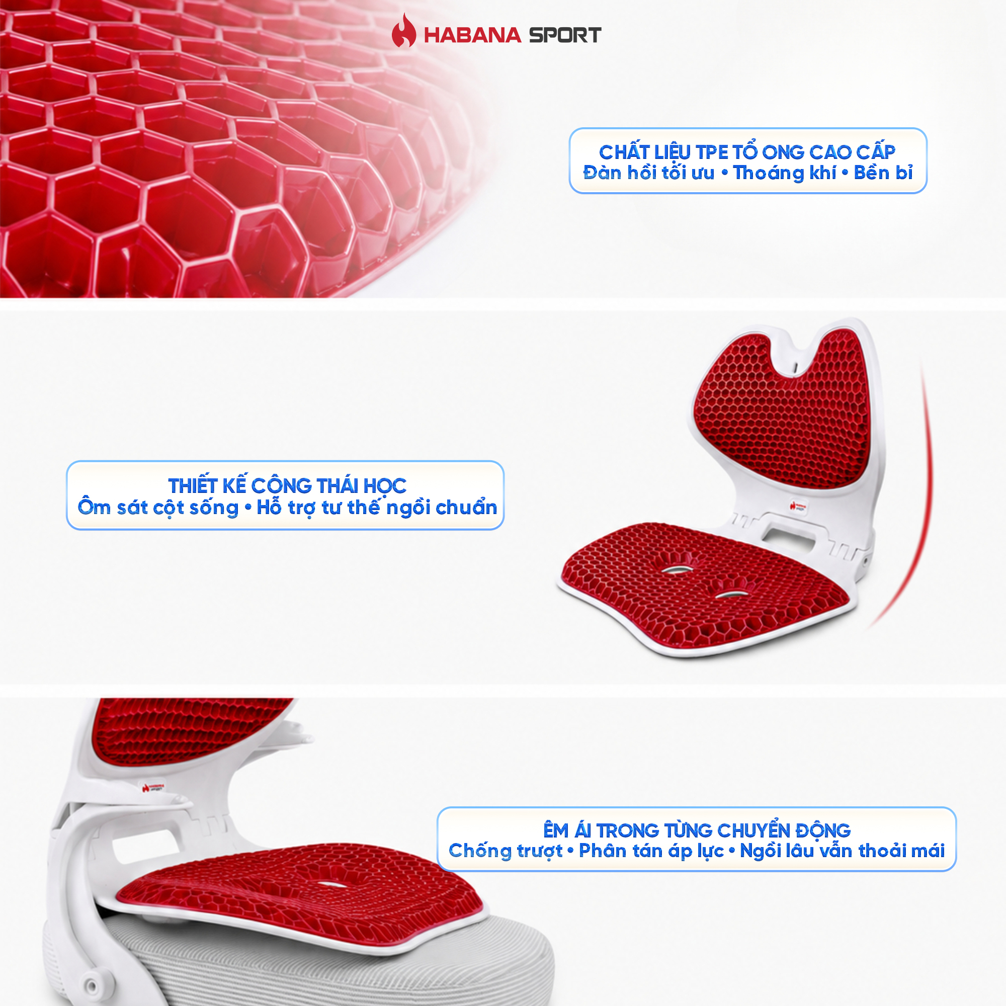 Ghế giảm đau lưng chống gù Habana Sport Chính Hãng SIZE Lớn 