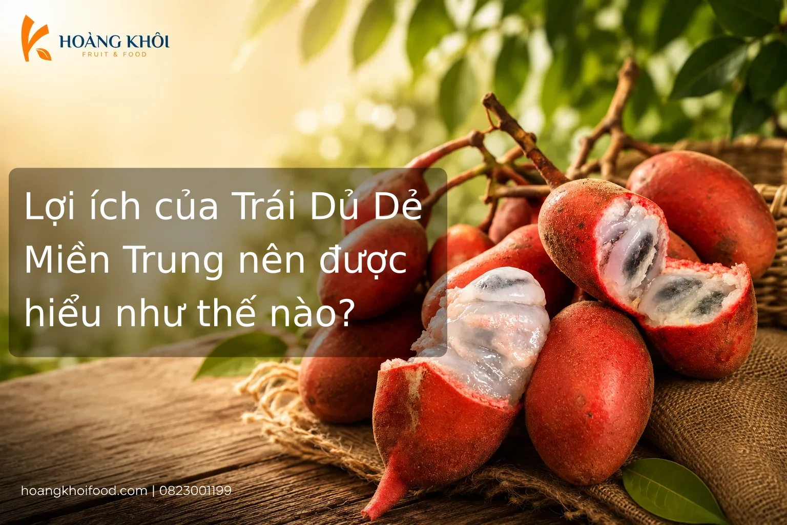 Lợi ích của Trái Dủ Dẻ Miền Trung nên được hiểu như thế nào?