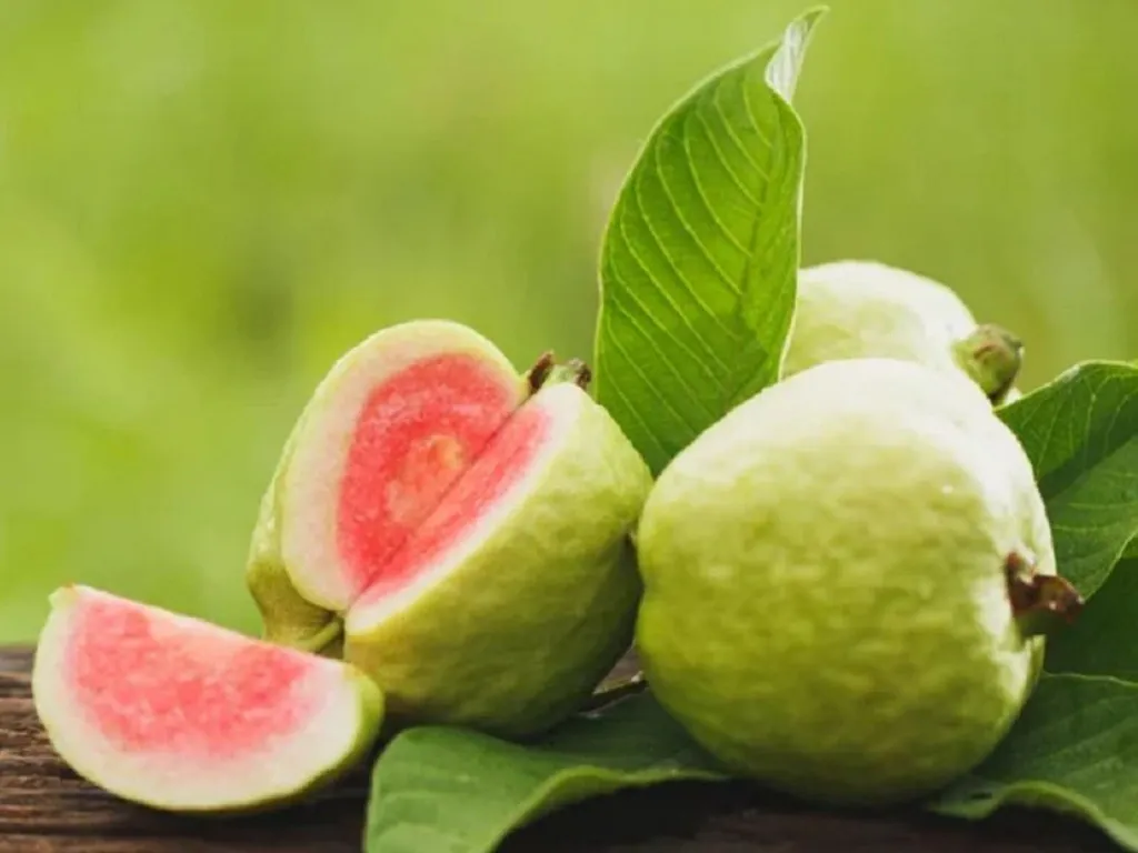 Ổi nữ hoàng hữu cơ ít hạt_thumbnail_2
