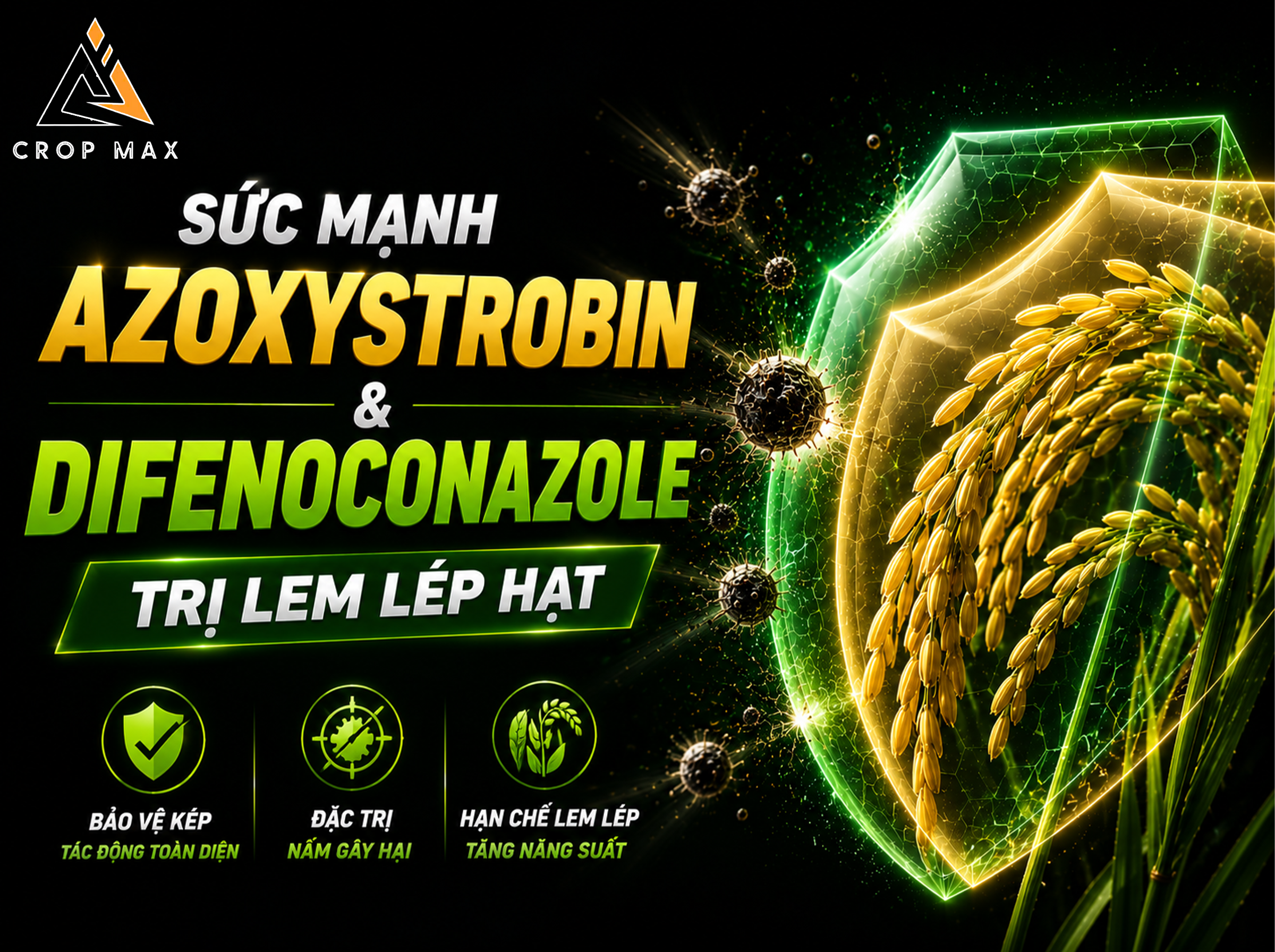Sức Mạnh Azoxystrobin & Difenoconazole Trị Lem Lép Hạt