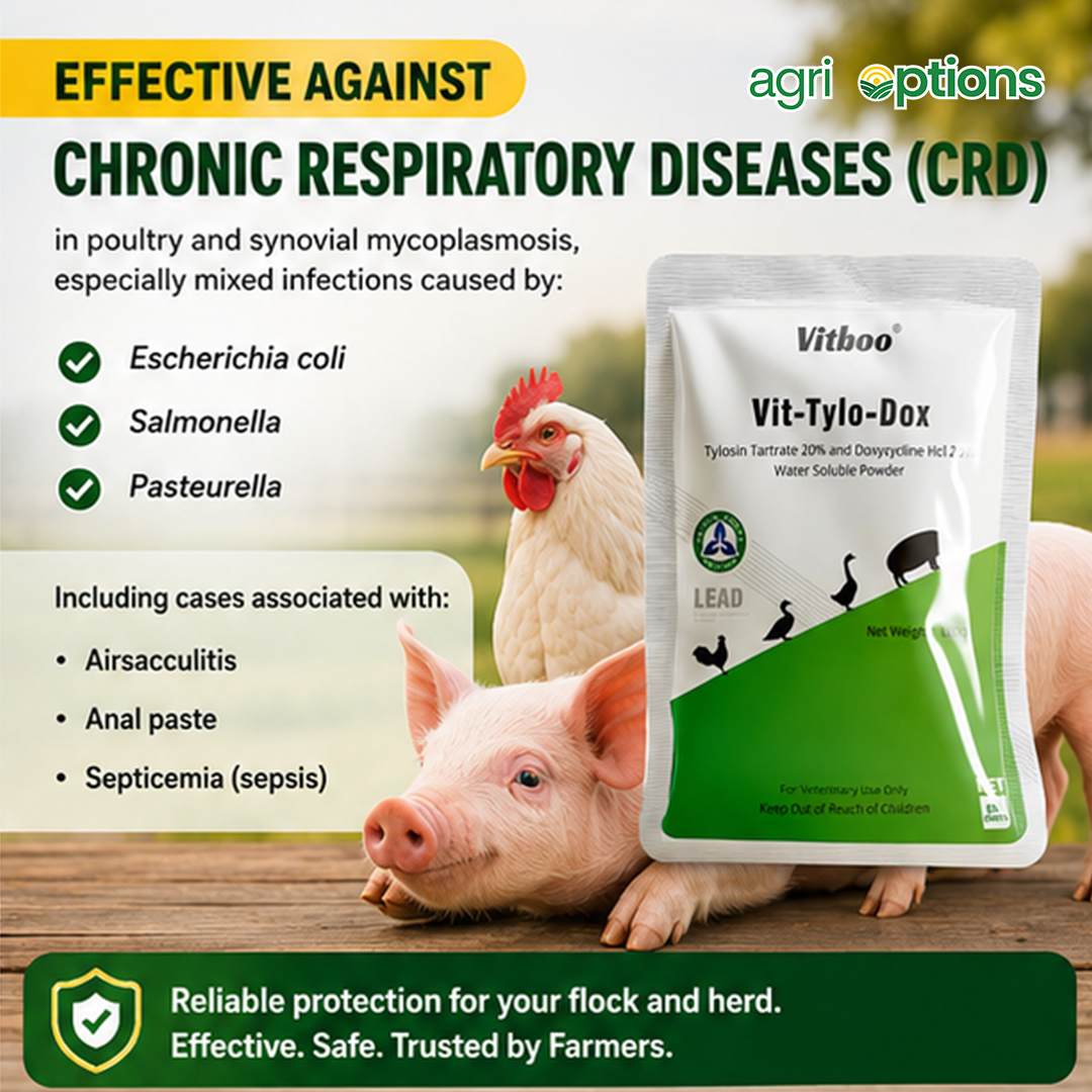 Vitboo VIT-Tylo-Dox 100grams_thumbnail_3