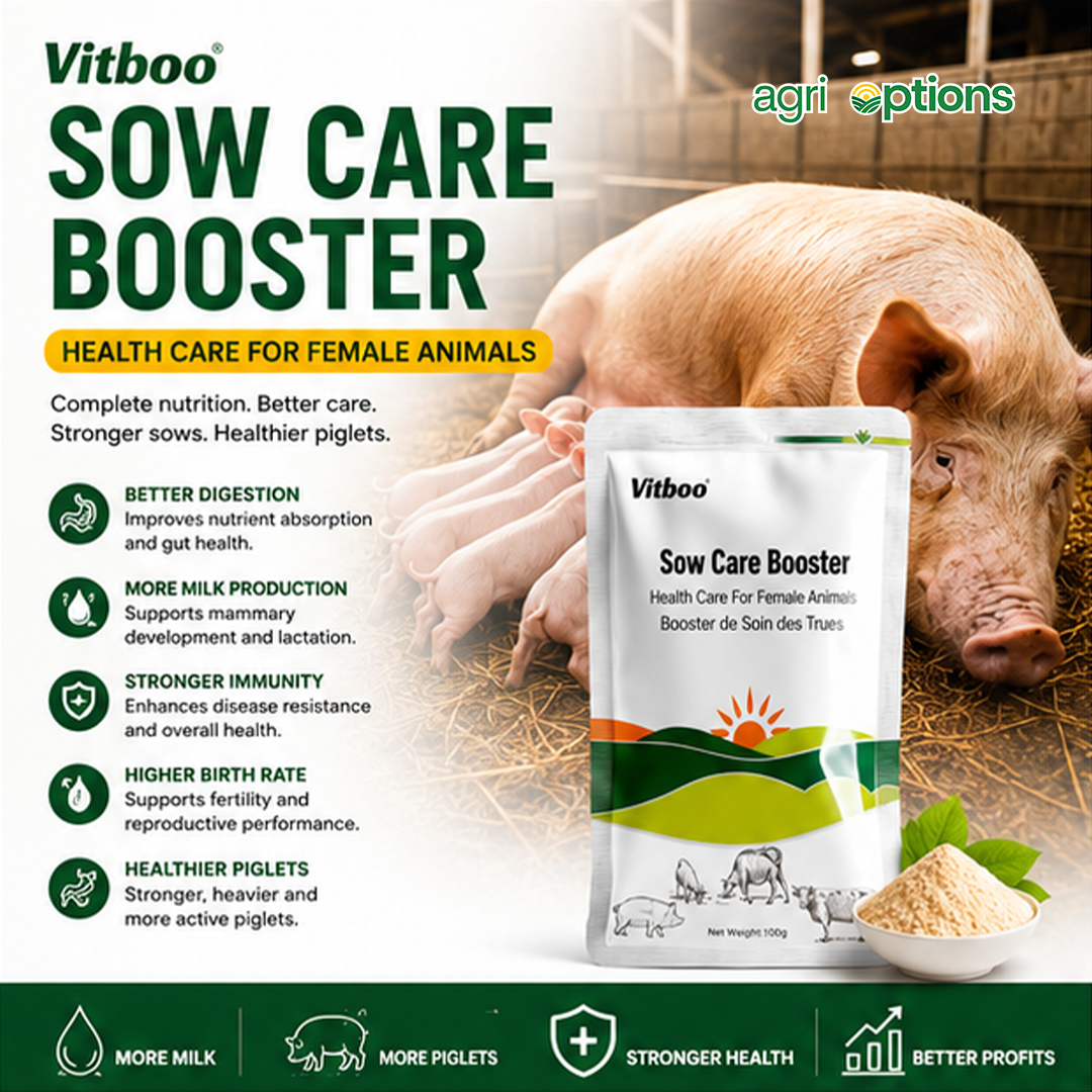Vitboo Sow Care Booster_thumbnail_4