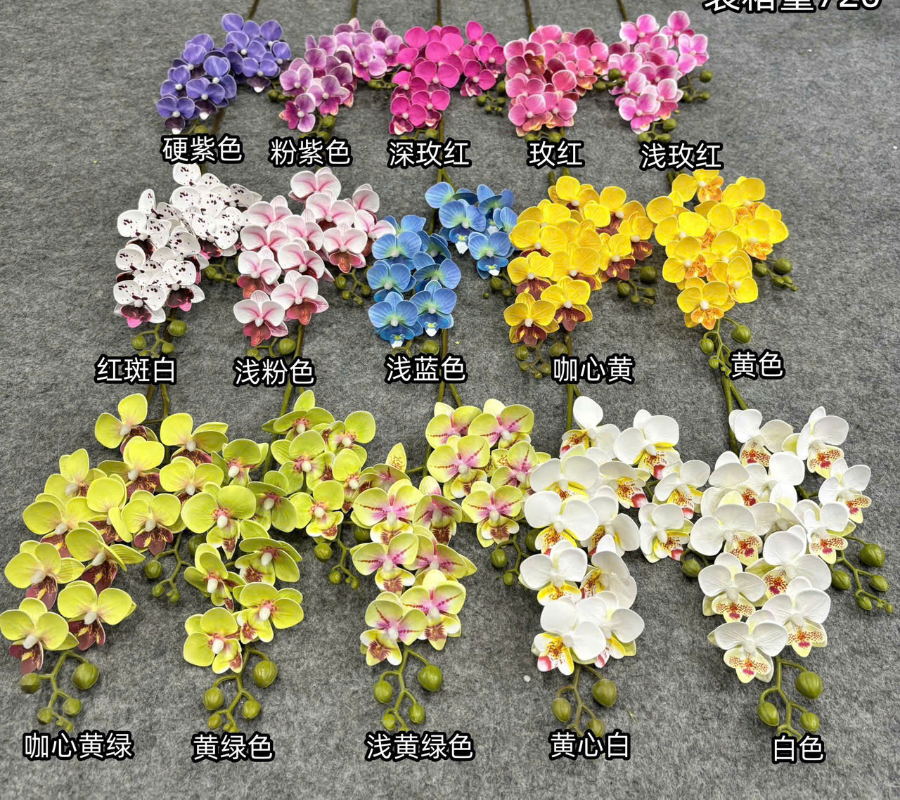 TIỂU HỒ ĐIỆP 12B 24K