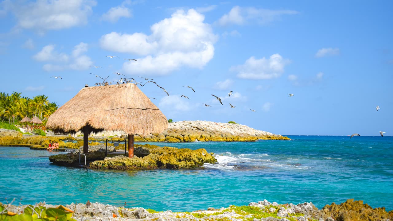 Paquete "Xcaret sin romper el cochinito"
