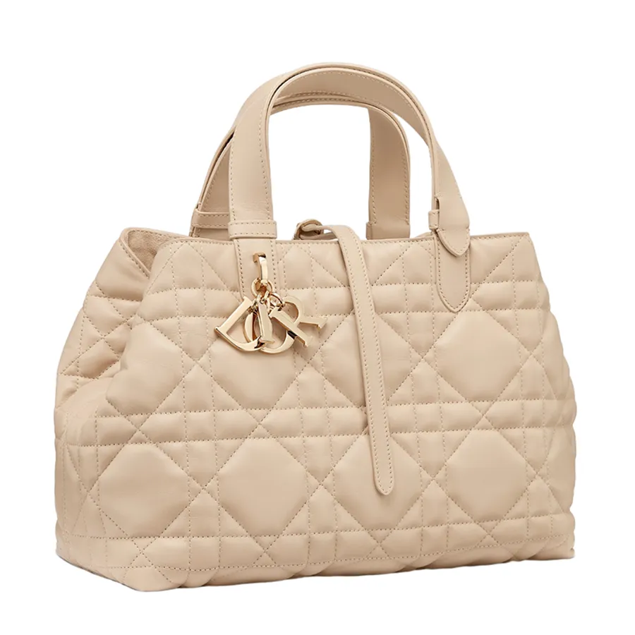 Dior Medium Toujours Bag