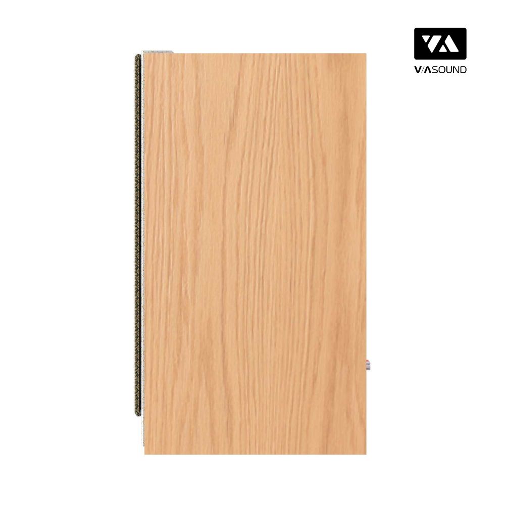Loa Bookshelf PARAMAX EURO 801 SMART_thumbnail_3