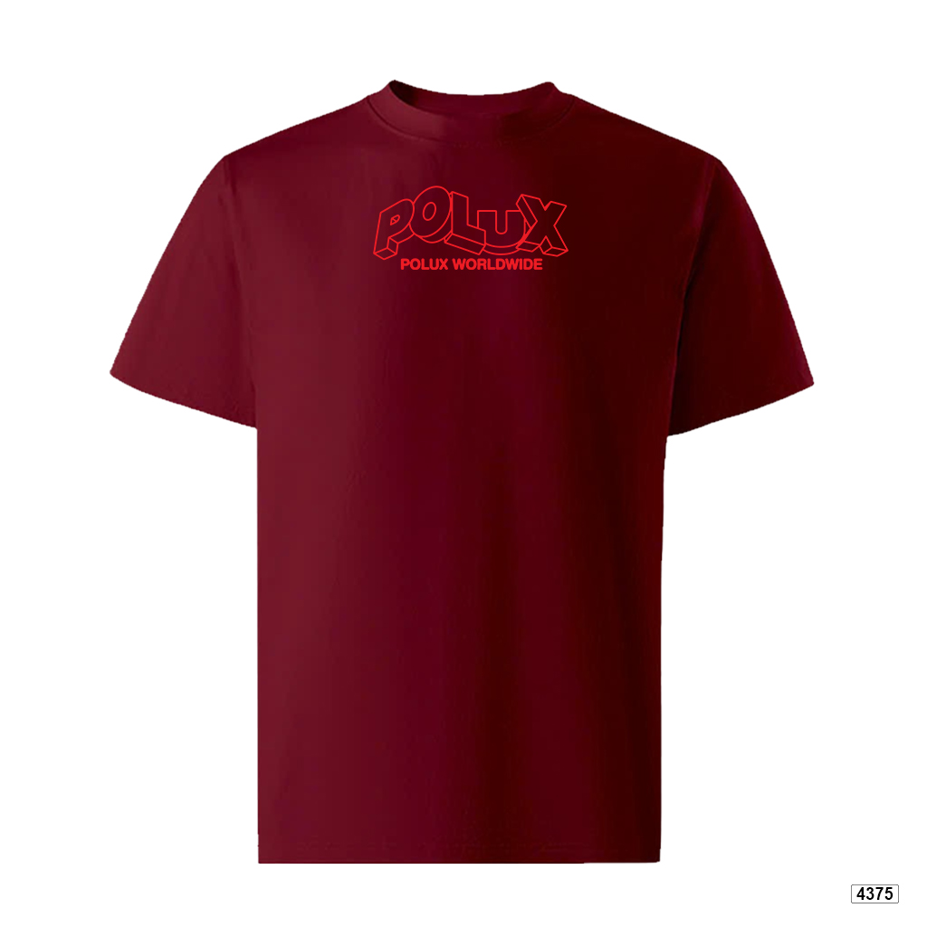 Áo thun nam worldwide logo form rộng Polux 4375_thumbnail_15