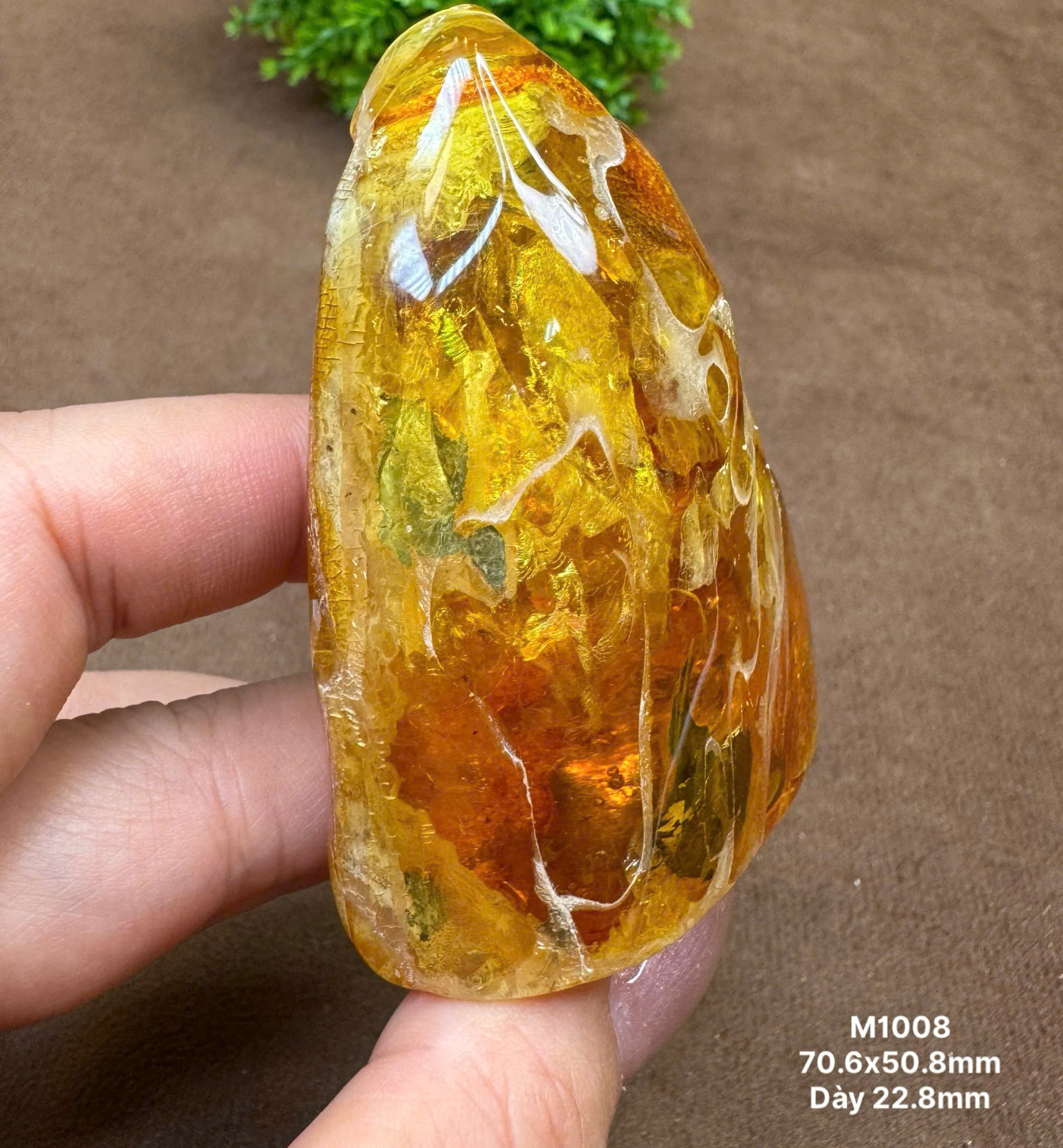 Viên Nguyên Khối Khảm Trai - M1008