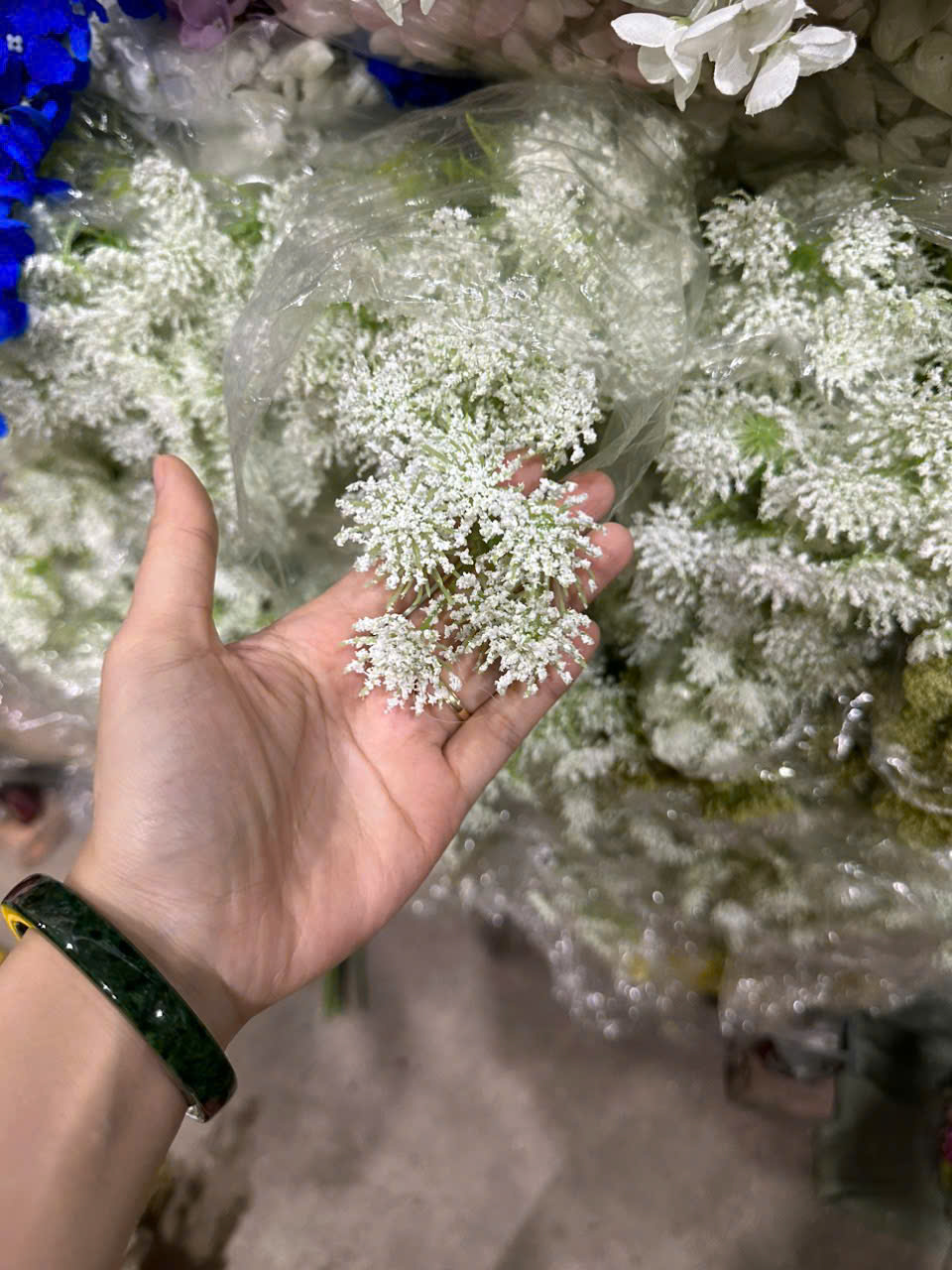HỒI HƯƠNG 4B 18K_thumbnail_1