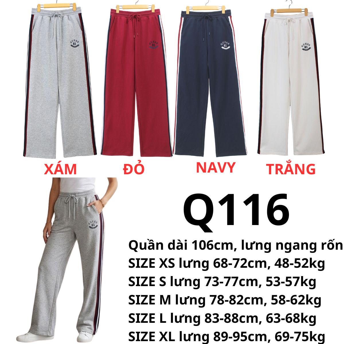 Q116 - Quần thun suông Gus