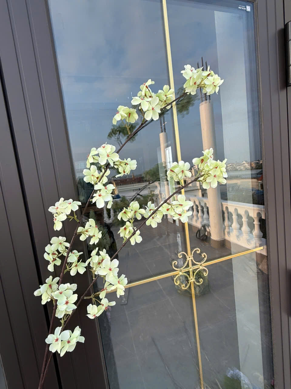 Mai rừng hai nhánh loại 2 đủ màu giá 22 k ak