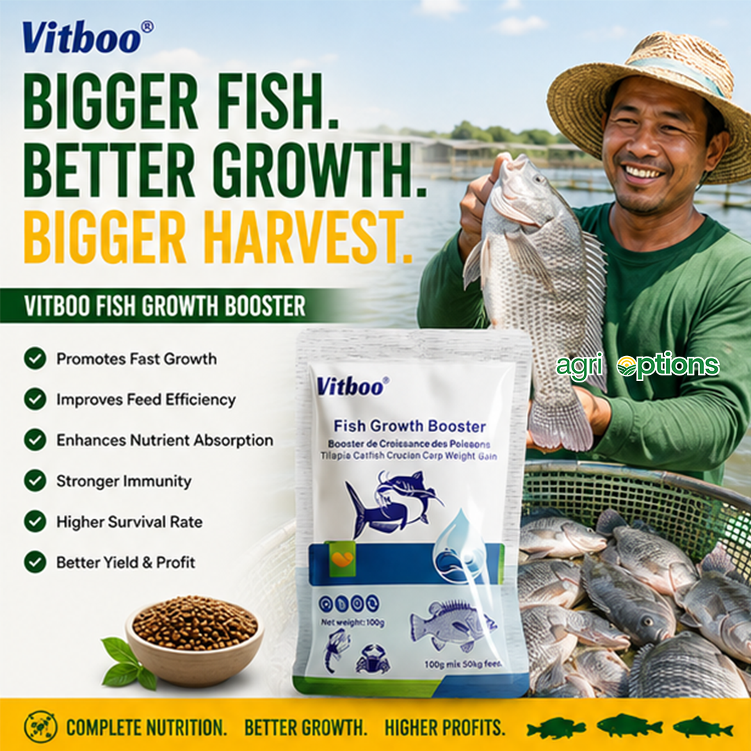 Vitboo Fish Growth Booster_thumbnail_1