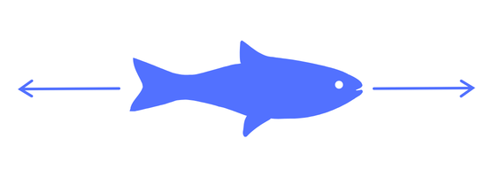 smol_fish