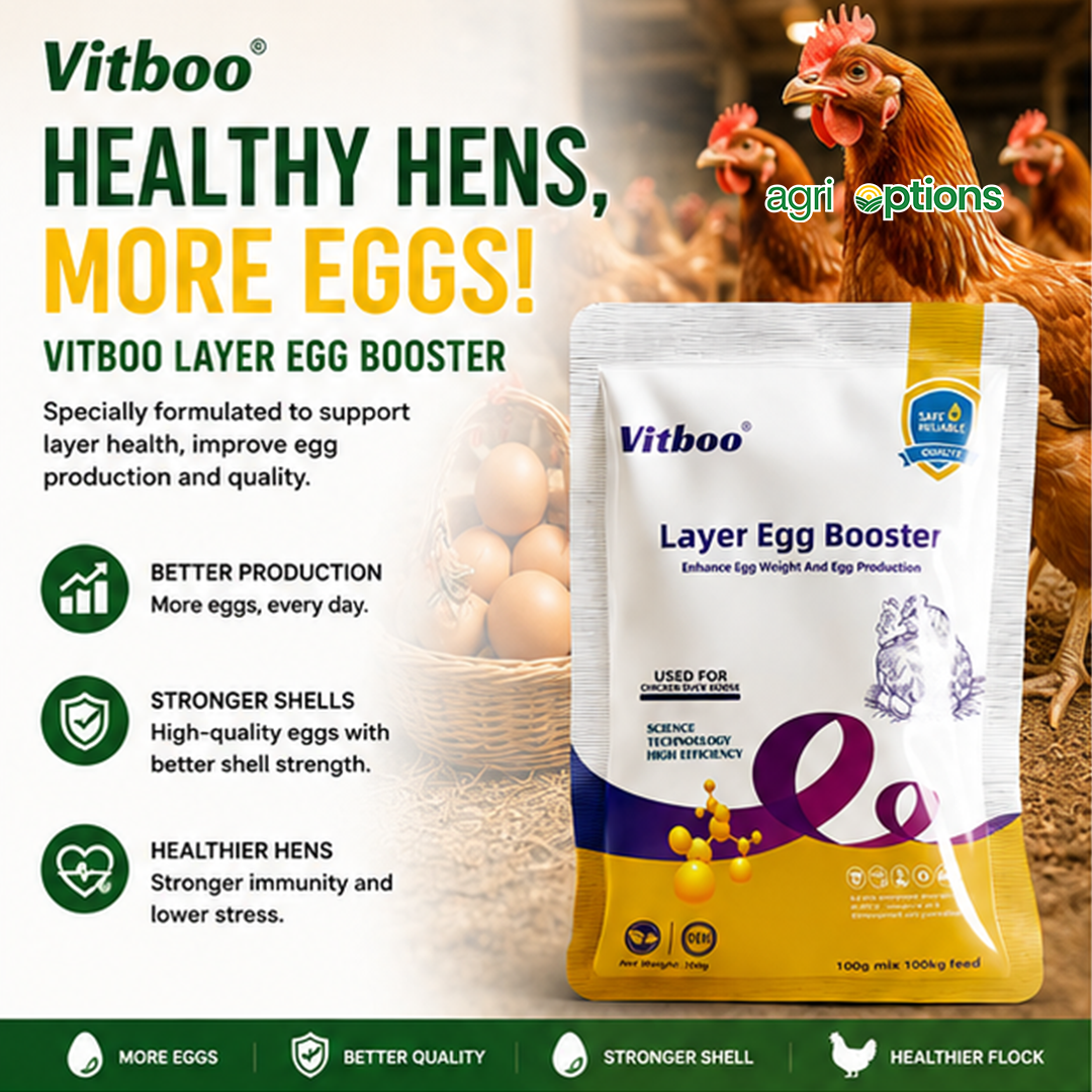 Layer Egg Booster_thumbnail_1