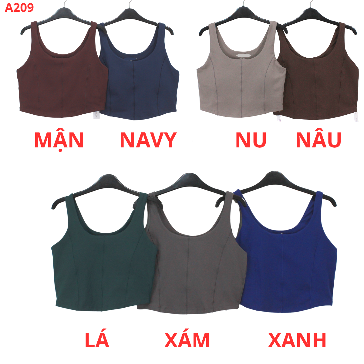 A209-ÁO TẬP_thumbnail_3