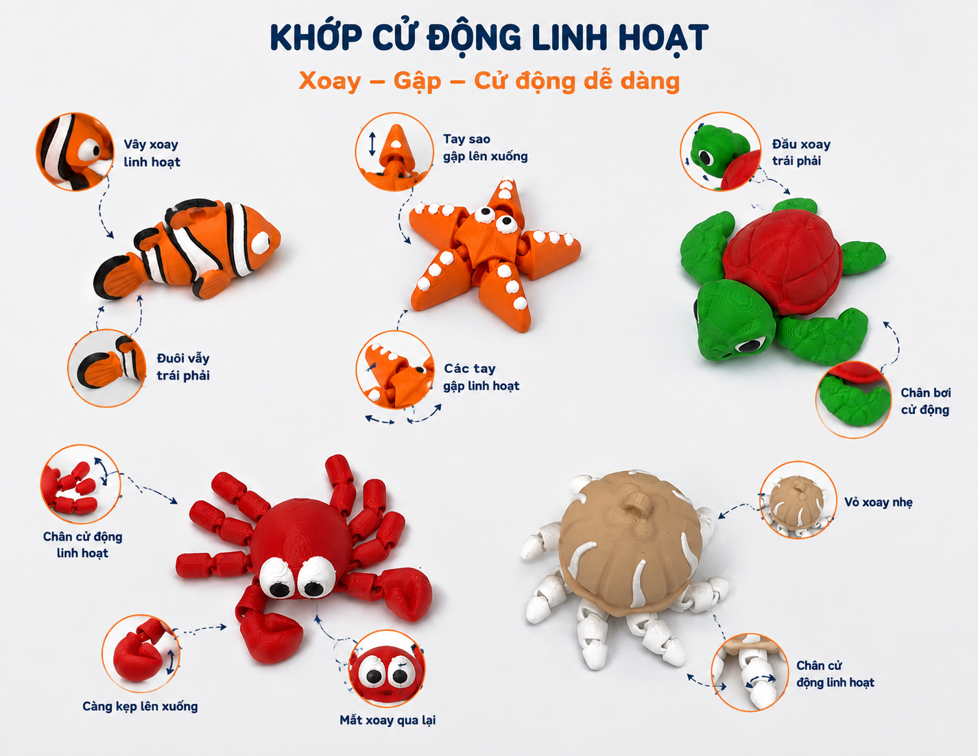 AVEN3D 🌊 Đại Dương Kỳ Thú | Combo Sinh Vật Biển Đồ Chơi In 3D Chuyển Động | Bộ Sưu Tập Cho Bé_thumbnail_3
