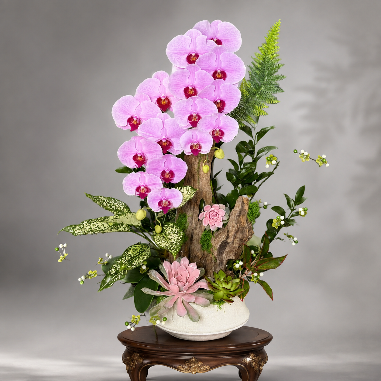 🌺Chậu Lan Hồ Điệp Hồng Ghép Gỗ Lũa Nghệ Thuật 2 Cây – Vẻ Đẹp Tinh Giản, Thanh Lịch Và Đậm Chất Nghệ Thuật
