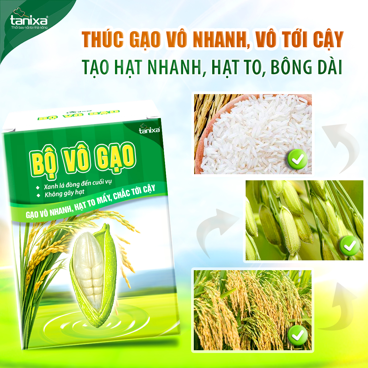 Bộ vô gạo Tanixa_thumbnail_3