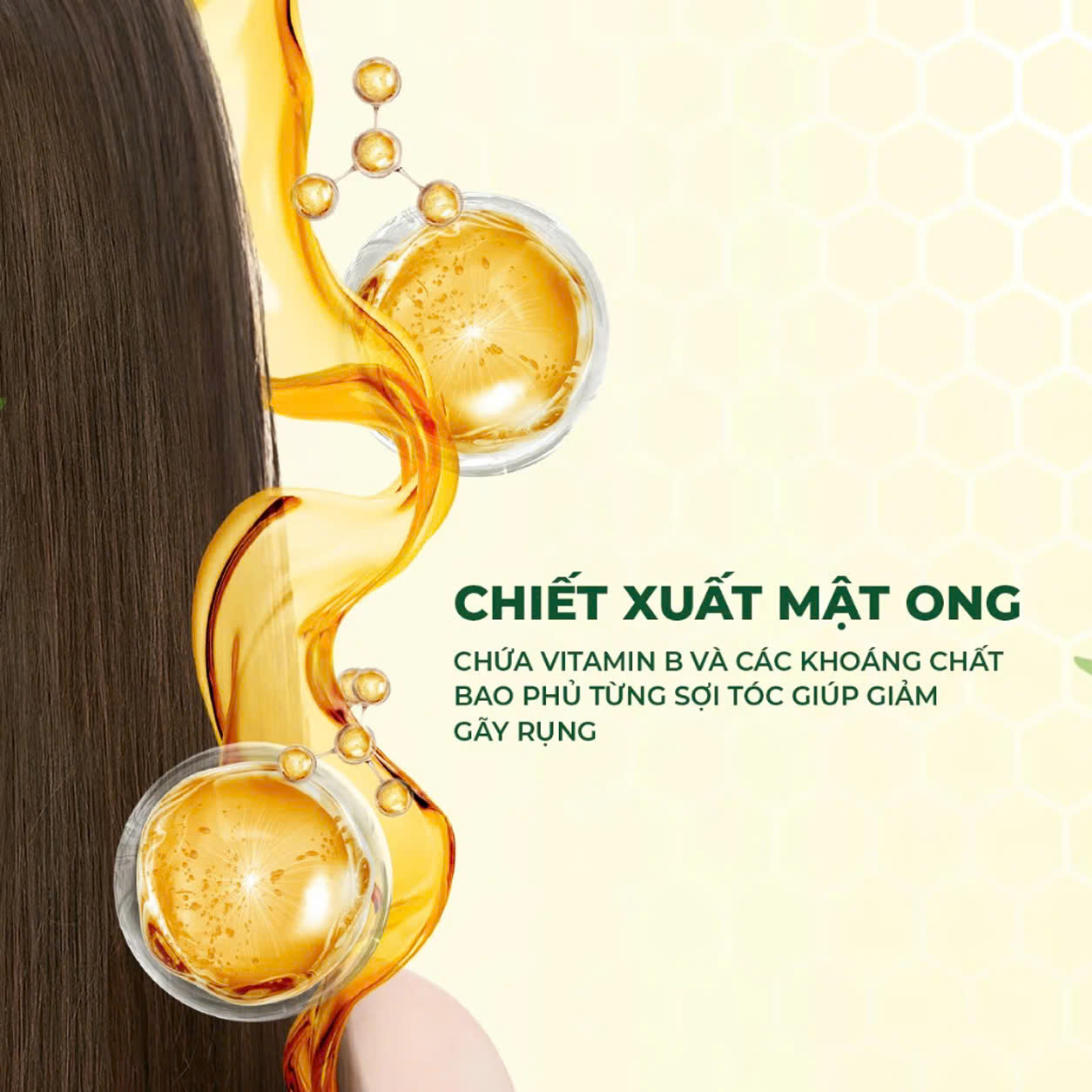 DẦU GỘI CIROA_thumbnail_1