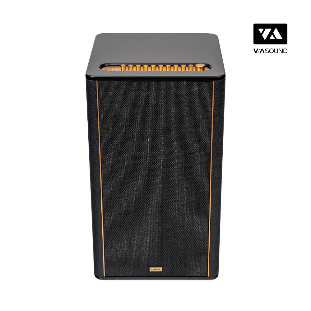 Loa Hifi Karaoke Di Động KADMA KF650_thumbnail_6